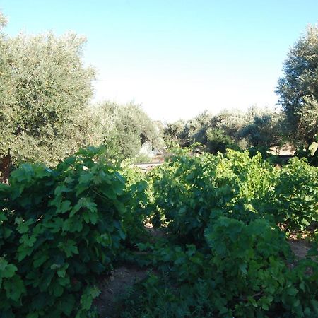 Platis Gialos  Villa Perivoli מראה חיצוני תמונה