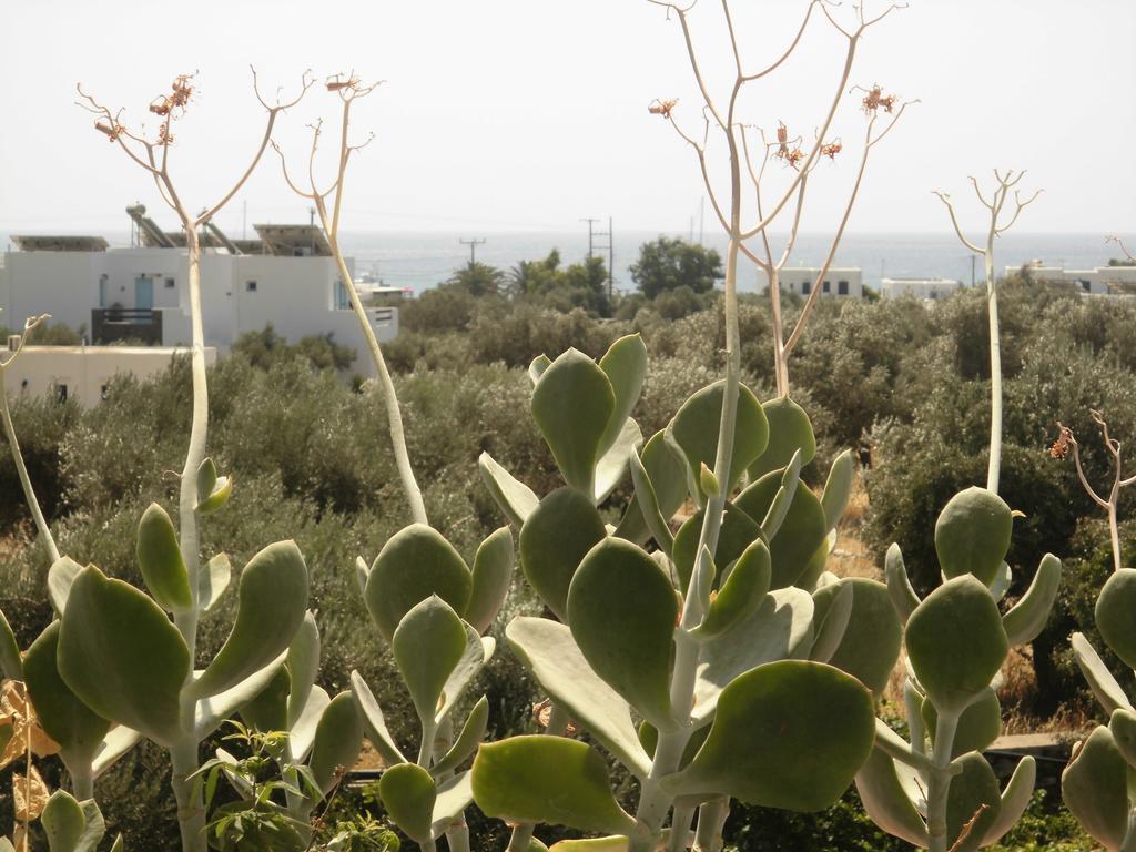 Platis Gialos  Villa Perivoli מראה חיצוני תמונה
